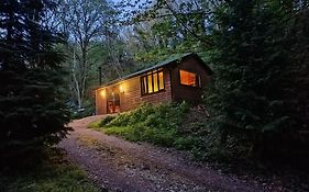 Stream-Side Cabin With Private Sauna Option